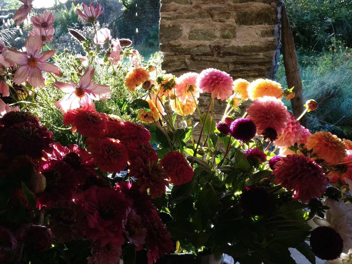 Field to vase morning with floristry session by Alex Hales - September 27 2025