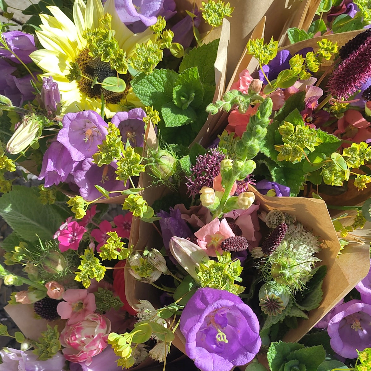 Flower subscriptions