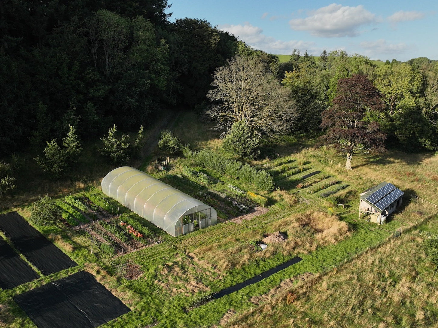 Farm workshops - Outbloom flower farm