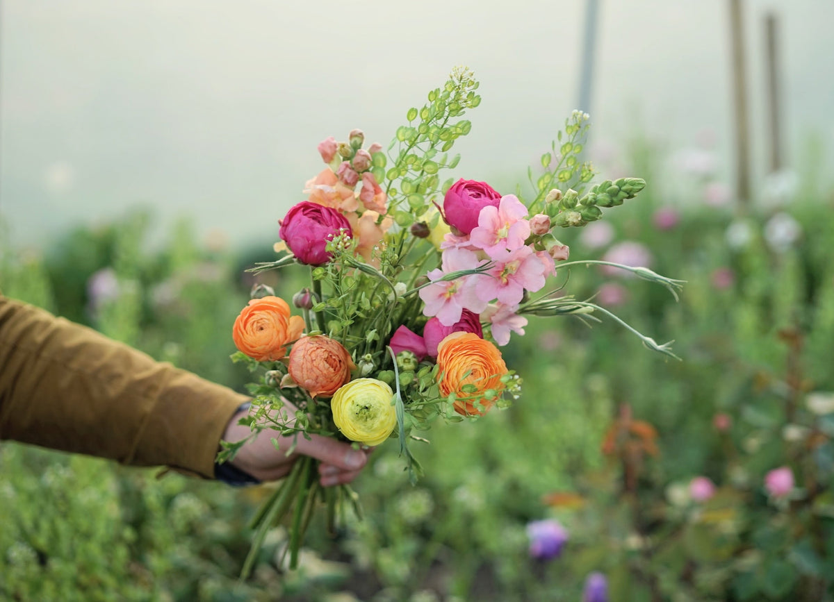 Outbloom flower farm