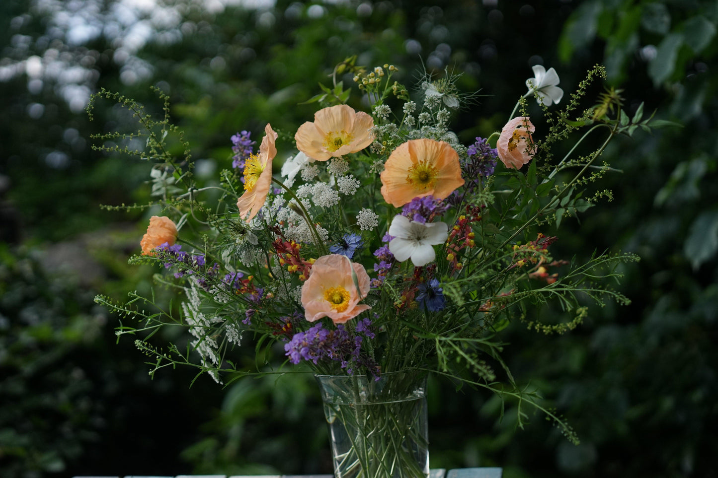 Field to vase morning - June 15 2024 - Outbloom flower farm