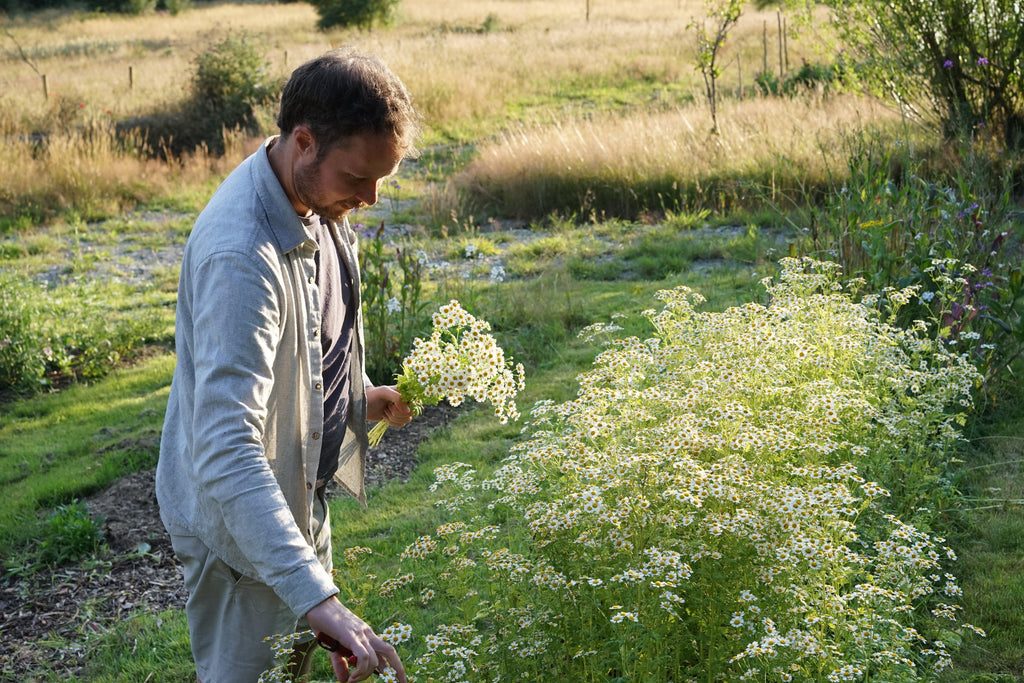 Field to vase morning - July 20 2024 - Outbloom flower farm