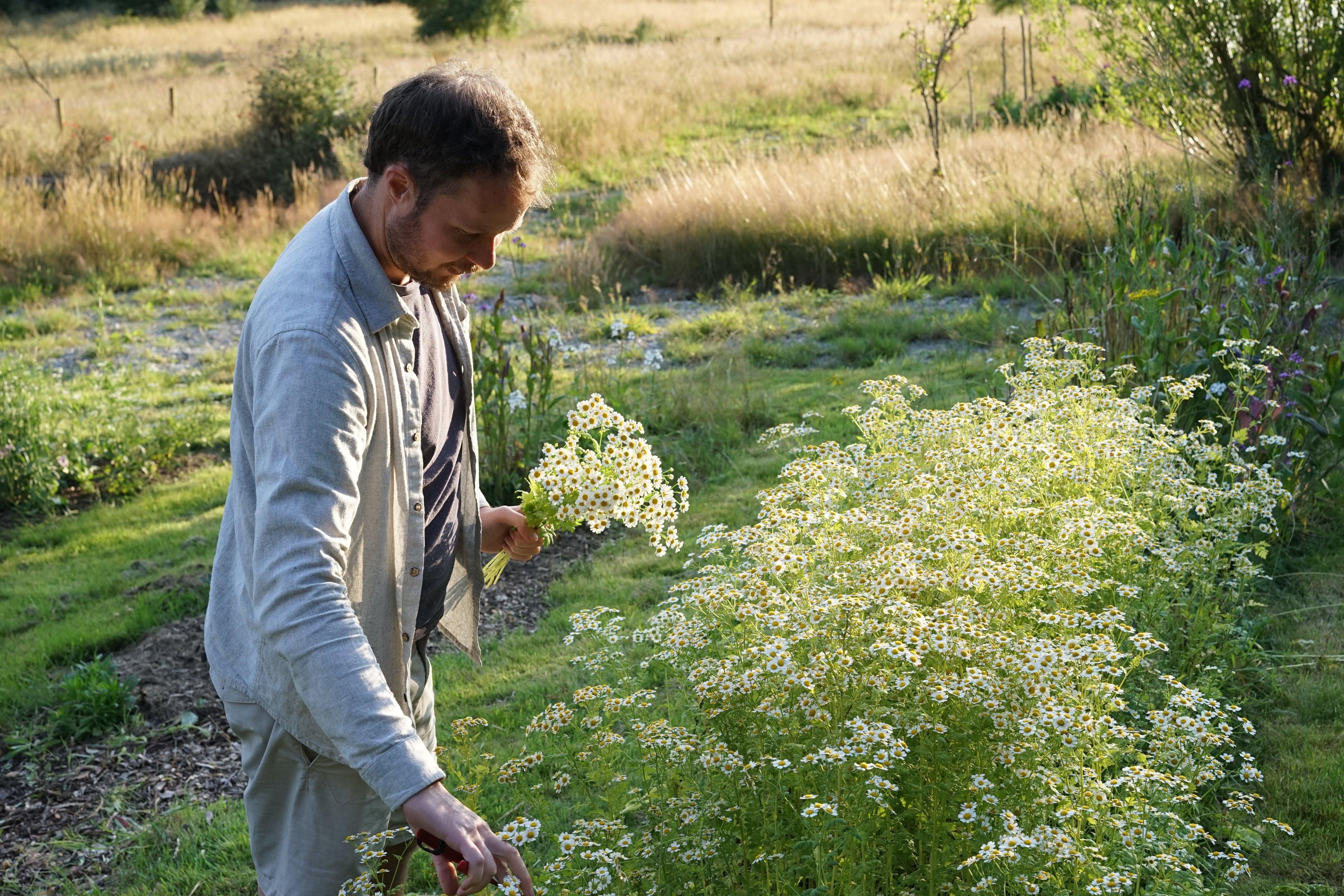 Field to vase morning - July 20 2024 - Outbloom flower farm