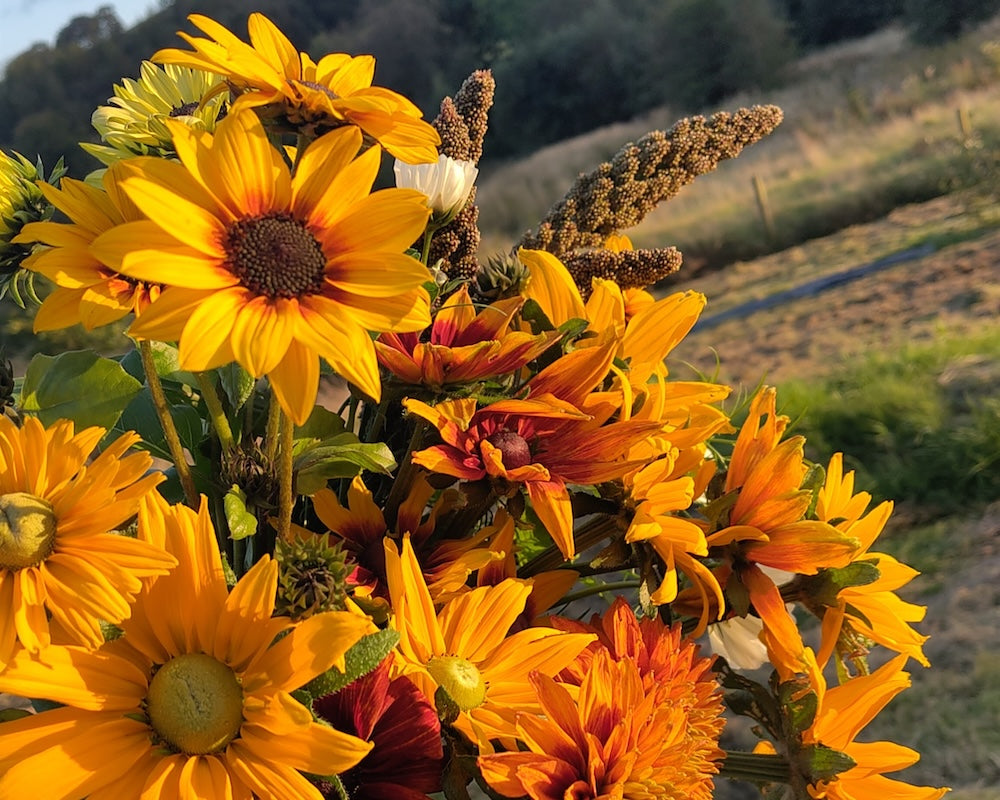 A gift of flowers - Gift Voucher