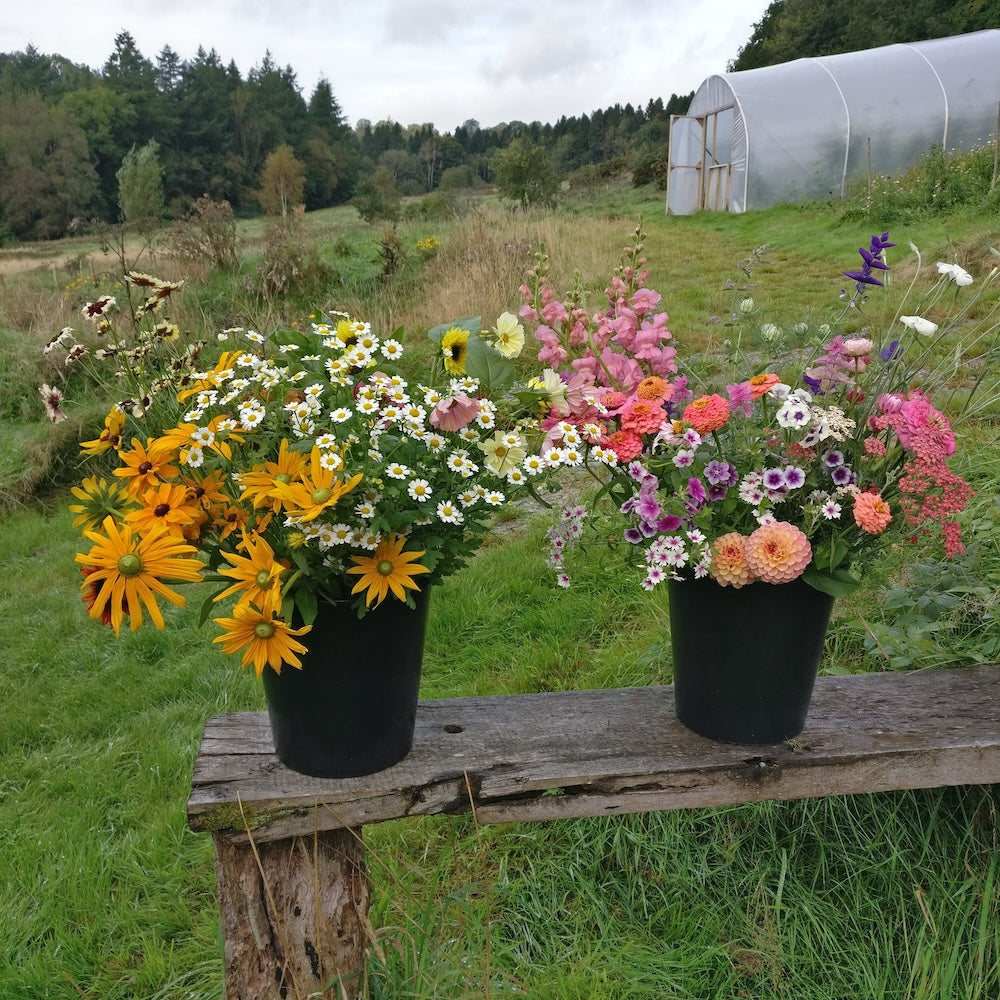Mixed flower bucket