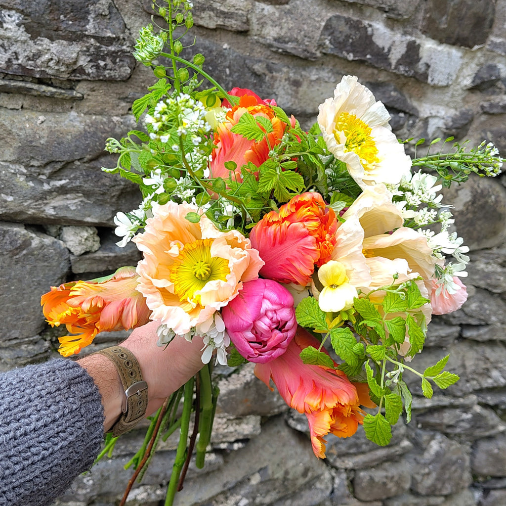 Field to vase morning - May 2nd 2026