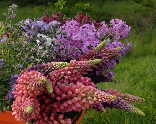 Field to vase morning - May 24 2025