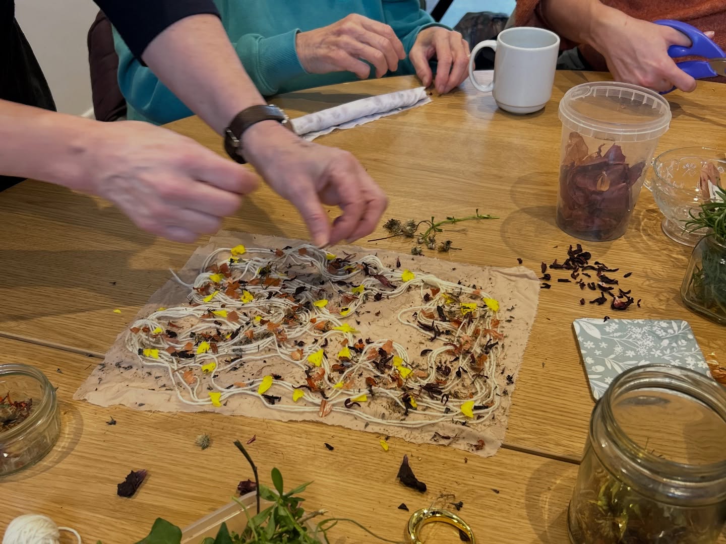 Botanical Bundle Dyeing on Wool and Cotton with Maeve Moran - September 20 2026