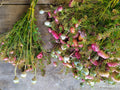 Dry-your-own bouquets