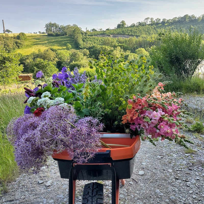 A gift of flowers - Gift Voucher