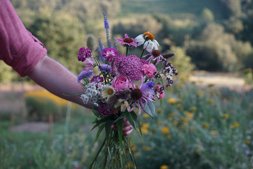 Seasonal bouquets