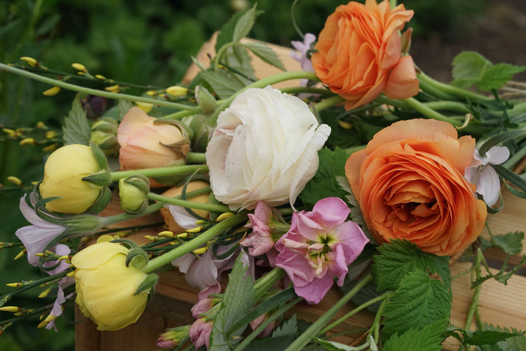 Seasonal bouquets