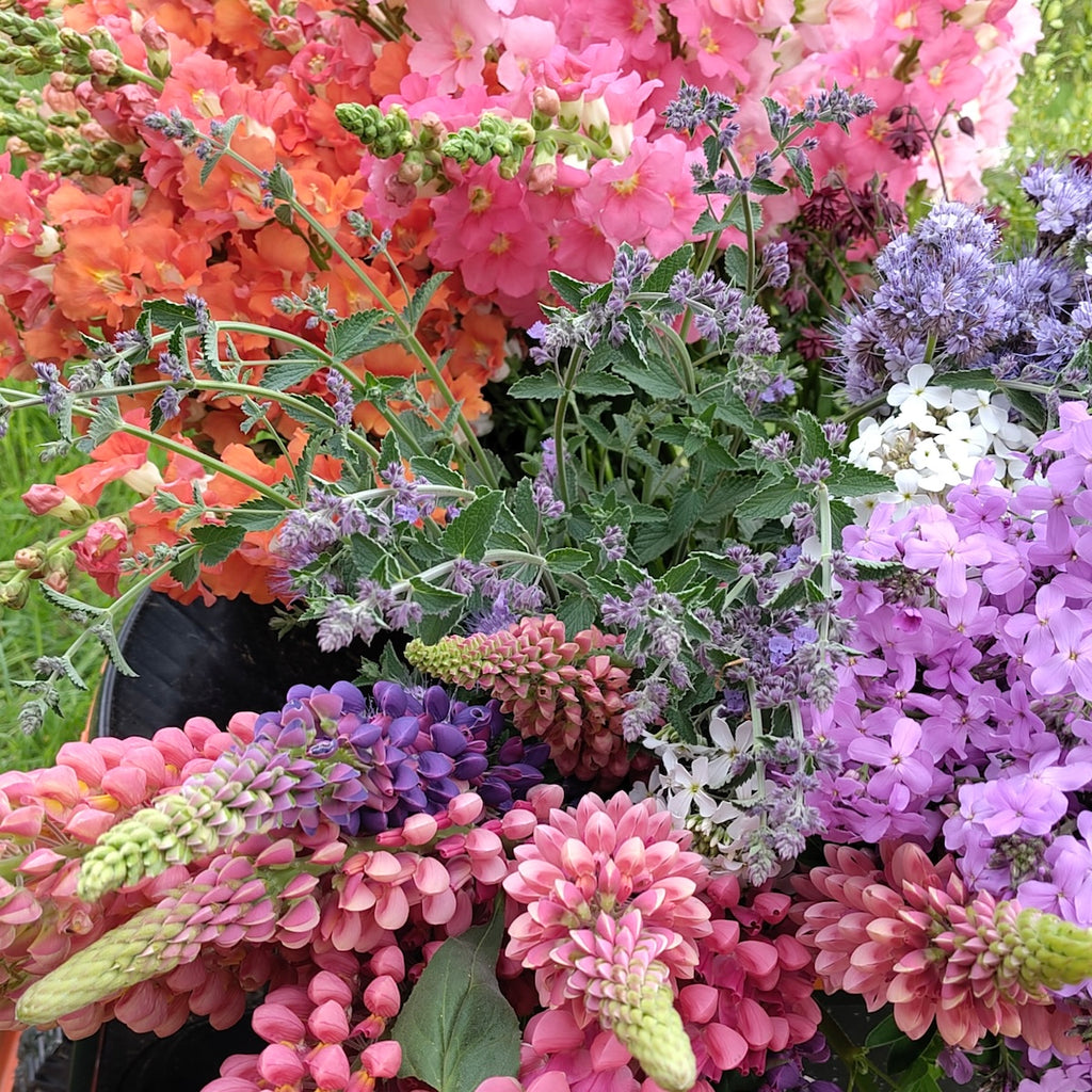 A gift of flowers - Gift Voucher