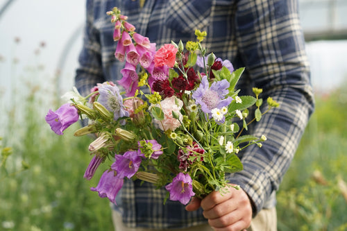 Seasonal bouquets