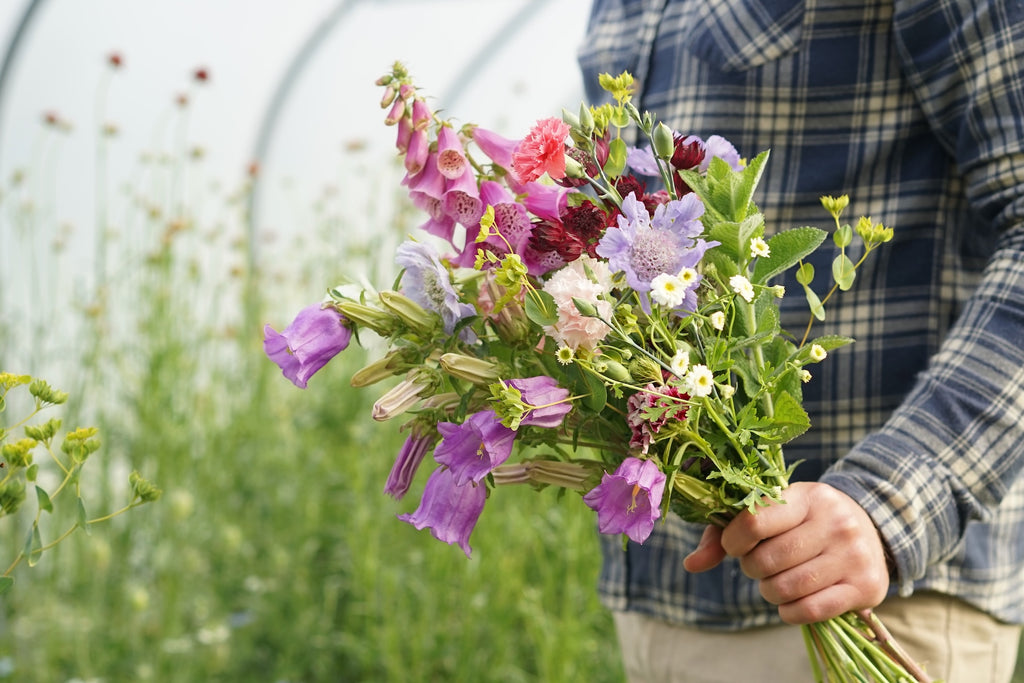 Seasonal bouquets
