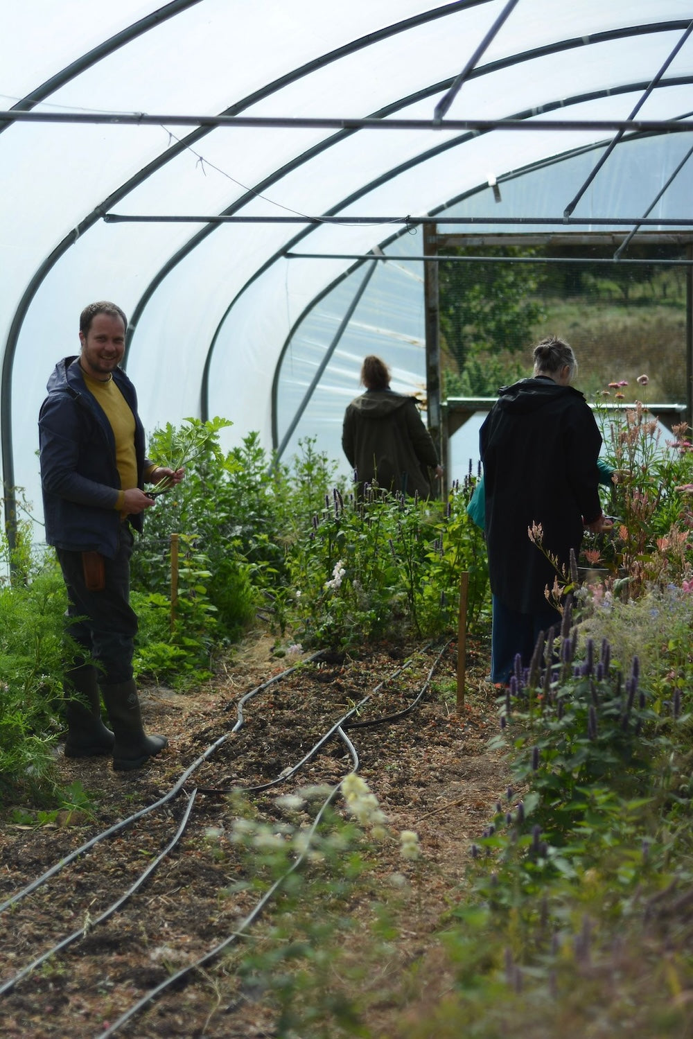 Field to vase morning - May 2nd 2026