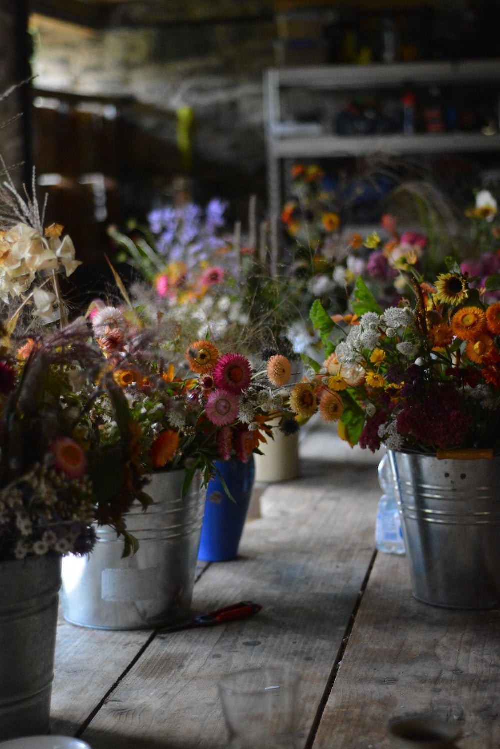Field to vase morning