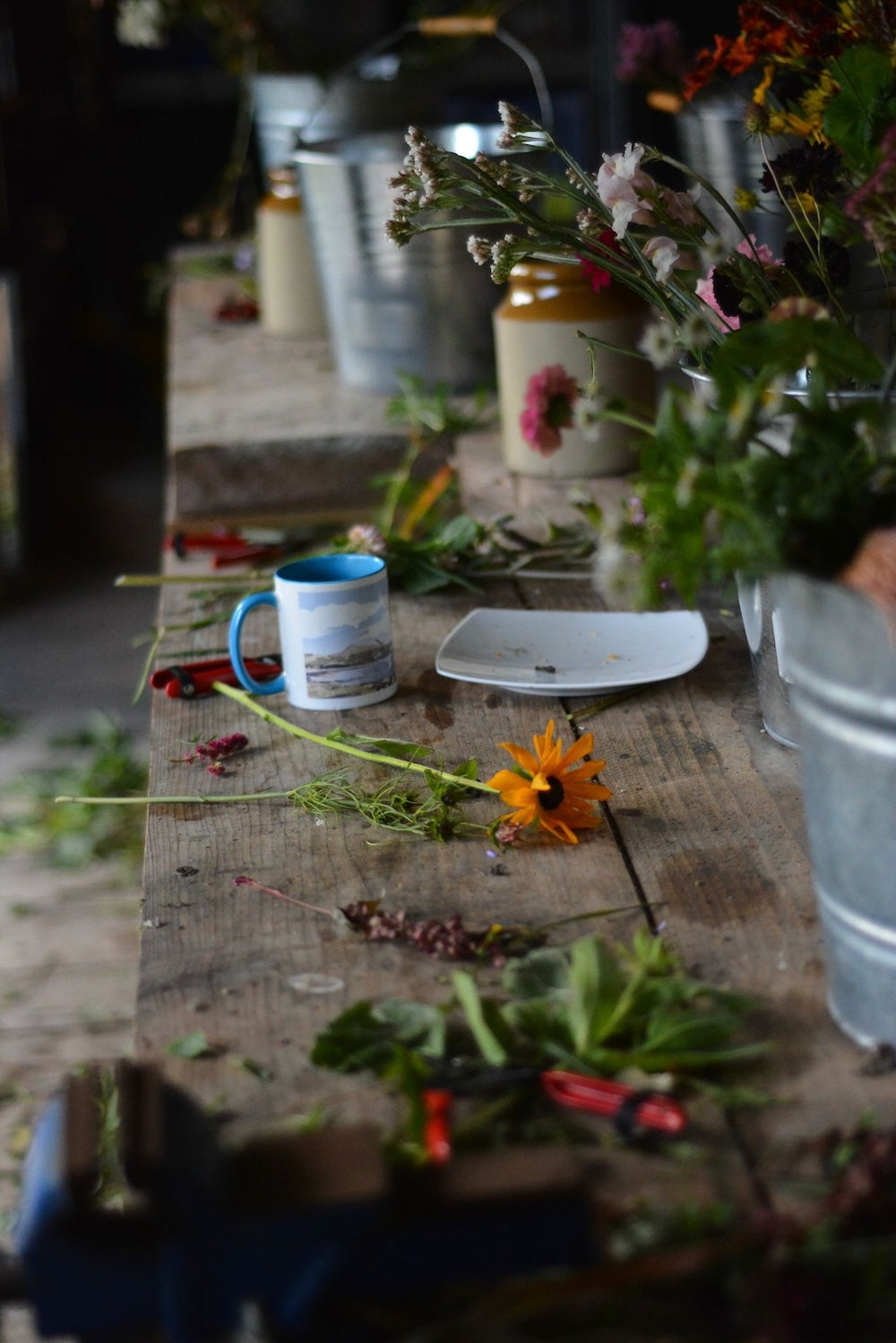 Field to vase morning - August 22 2026