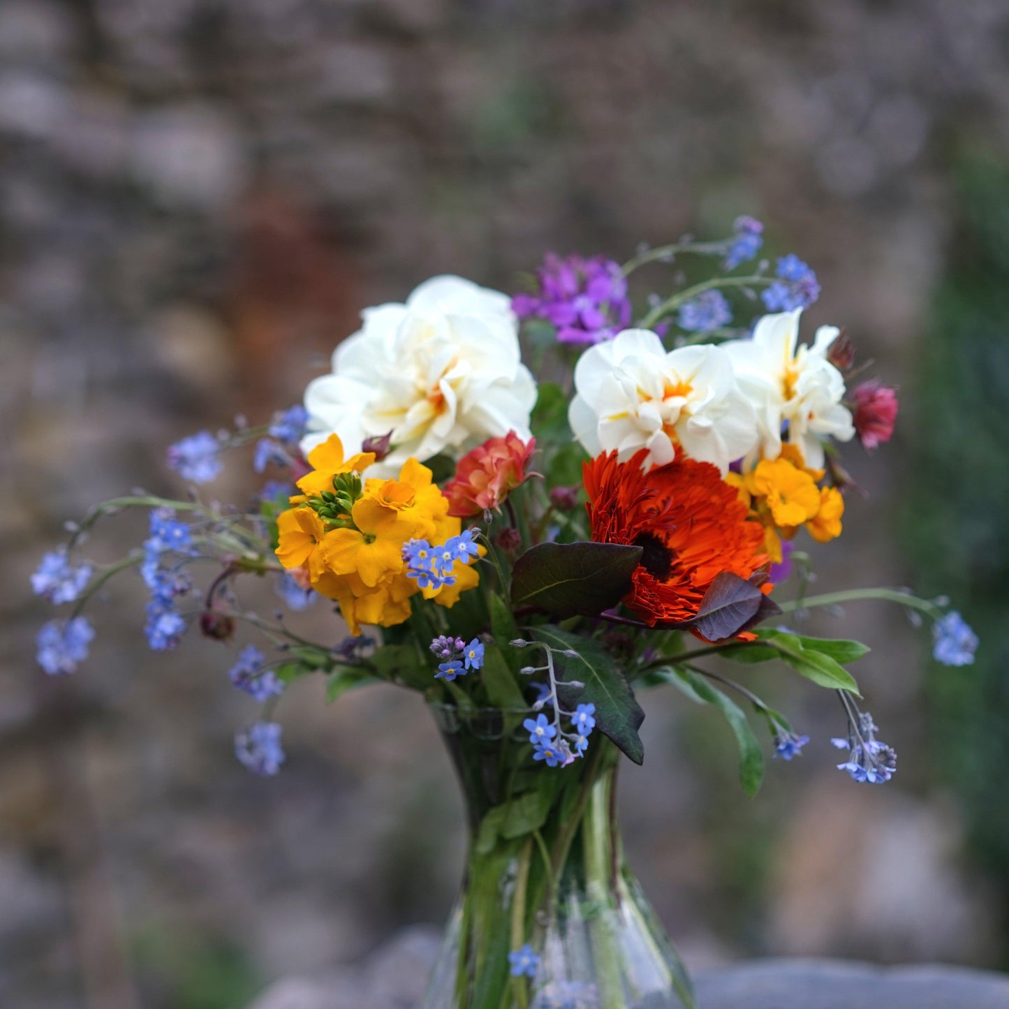 Flower subscriptions - Outbloom flower farm