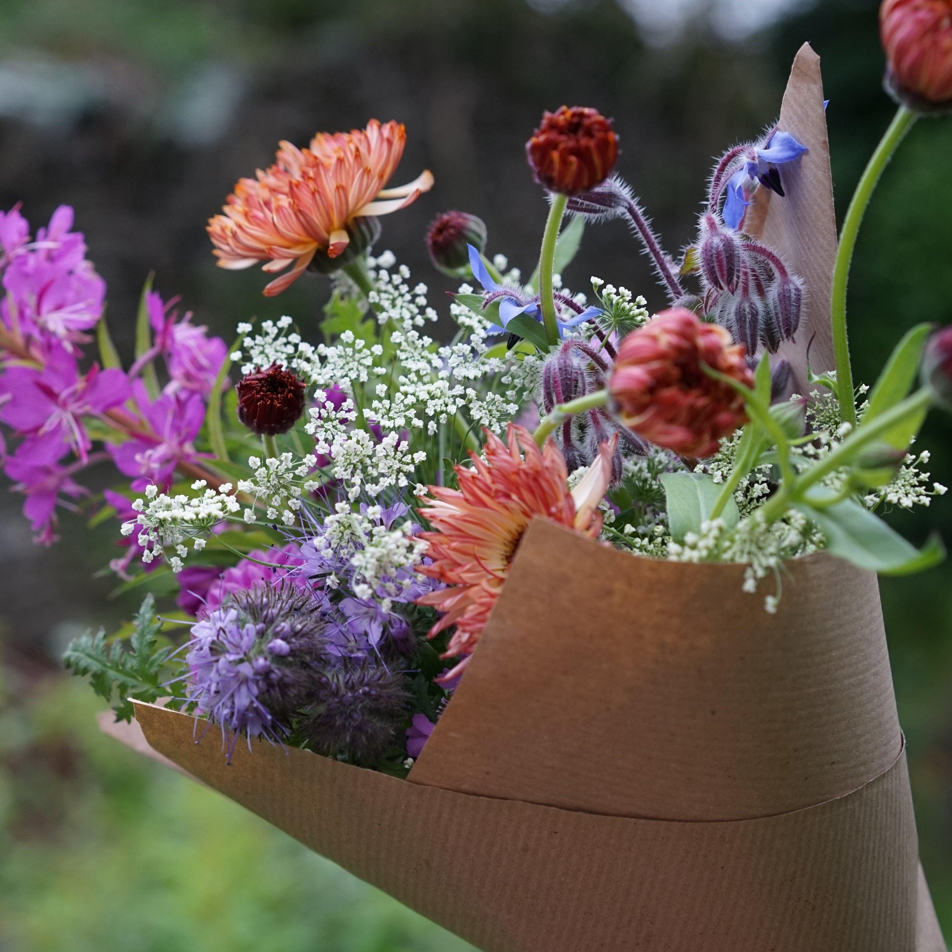 Flower subscriptions - Outbloom flower farm